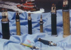 天康聚氯乙烯绝缘船用电力电缆